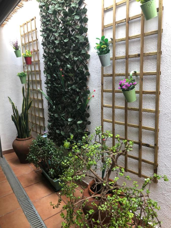 Merry's House