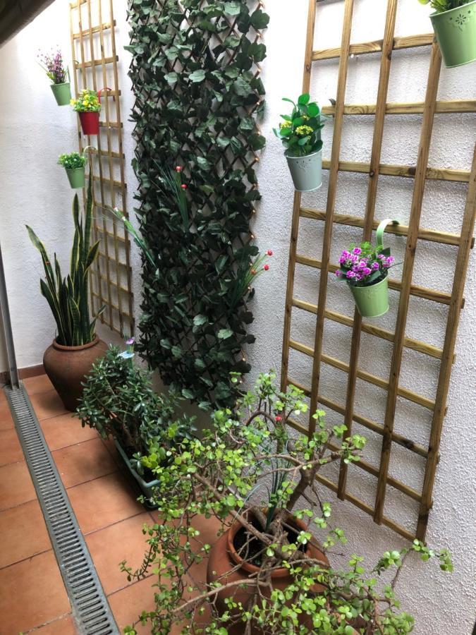 Guest house Merry's House 3*